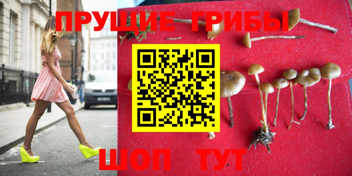 Галлюциногенные грибы мухоморы  Галлюциногенные грибы мухоморы  Вход с VPN  Рязань 